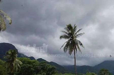 nellai